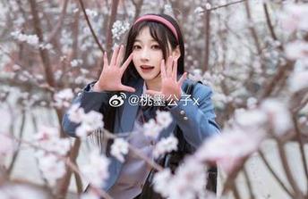 桃墨公子窗边合集：照片与风景的温柔邂逅