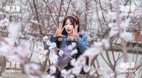 桃墨公子窗边合集：照片与风景的温柔邂逅